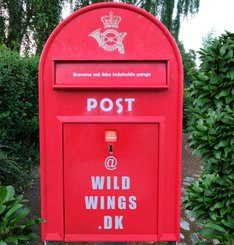 Send post